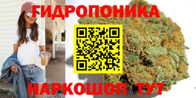 круглые Ставрополь