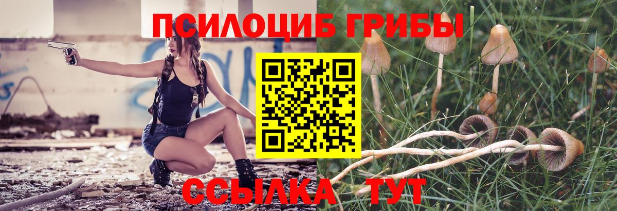 Галлюциногенные грибы GOLDEN TEACHER  Вход с VPN  продажа наркотиков  Оренбург  Псилоцибиновые грибы прущие грибы 