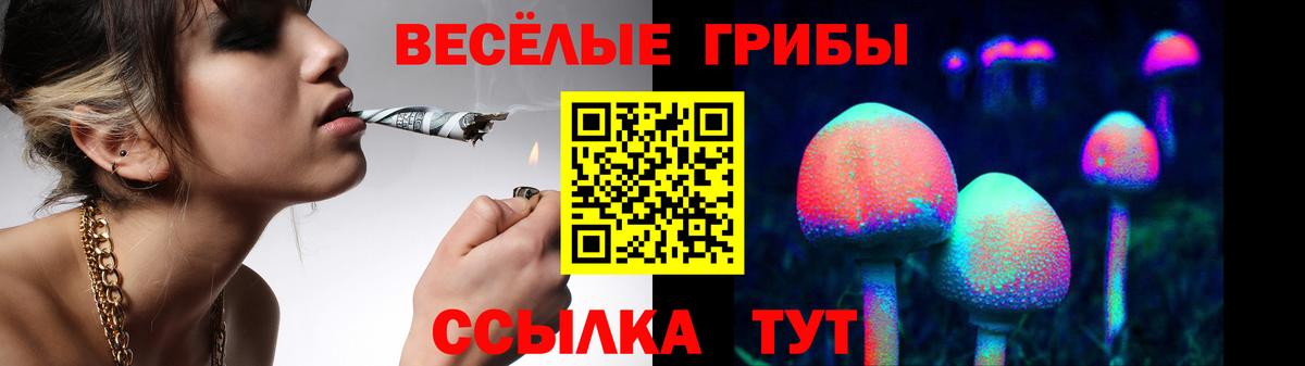 Галлюциногенные грибы Cubensis Оренбург